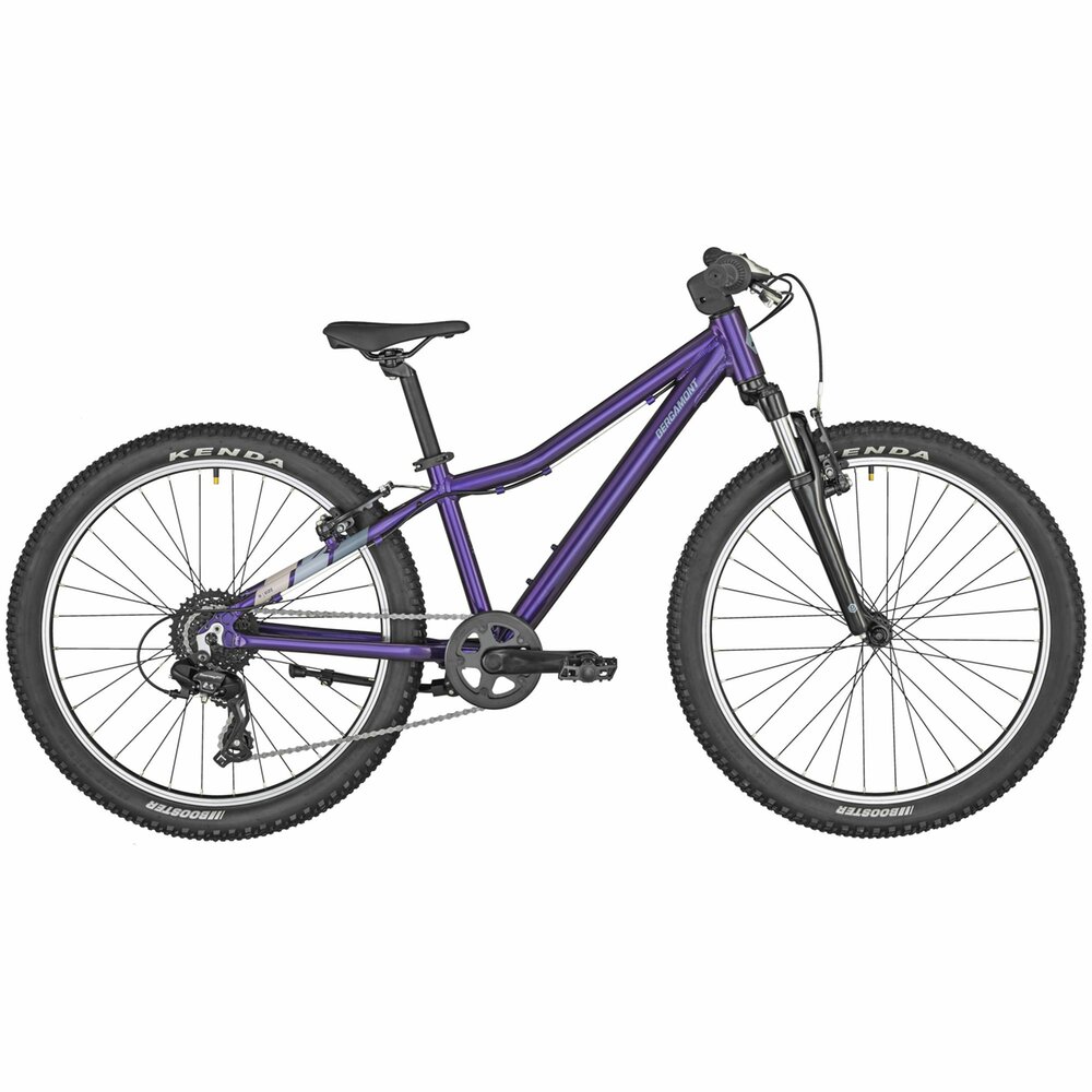 Full image for Bergamont Revox 24