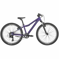 Bergamont Revox 24" - 